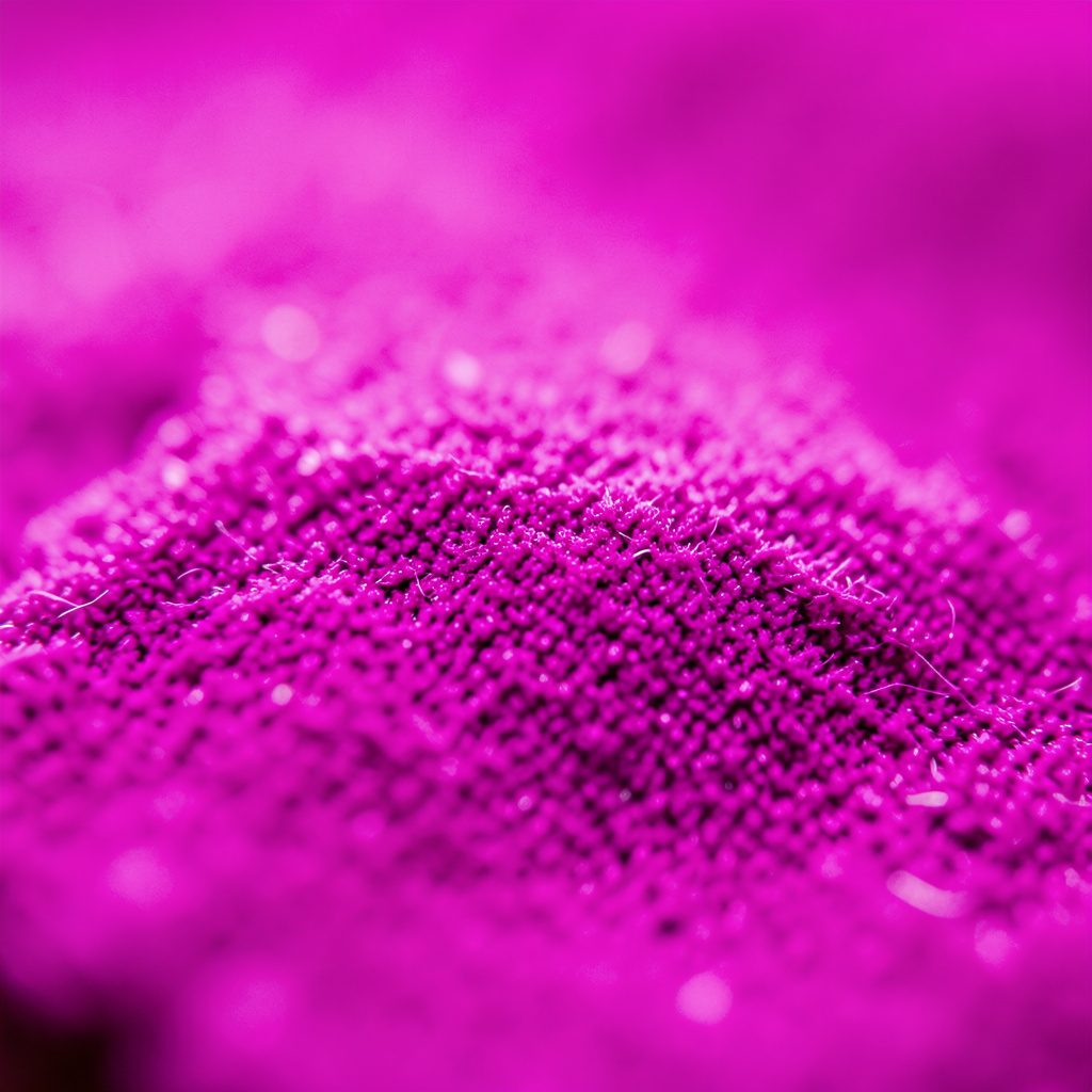 Extreme close-up of soft pink and rose petal textures in a warm, gently lit photograph with a calm, friendly mood.